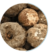 konjac_extract_fiber