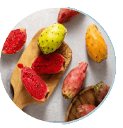 prickly_pear_extract